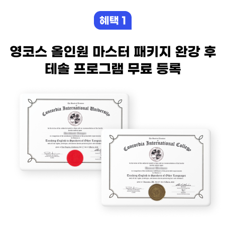 영코스 올인원 마스터 패키지